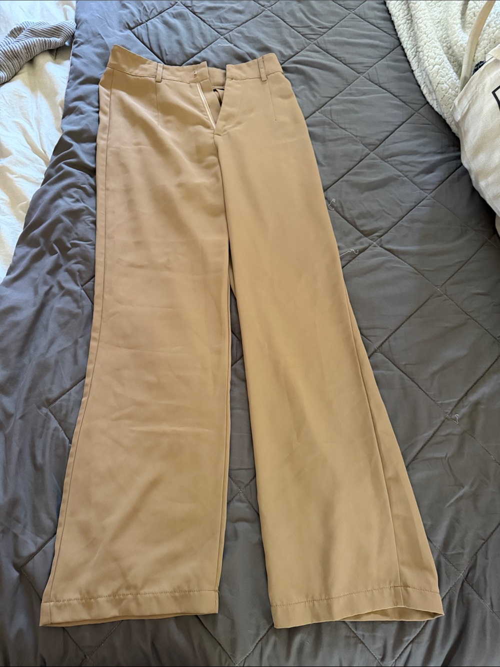 Wide Leg Tan Dress Pants